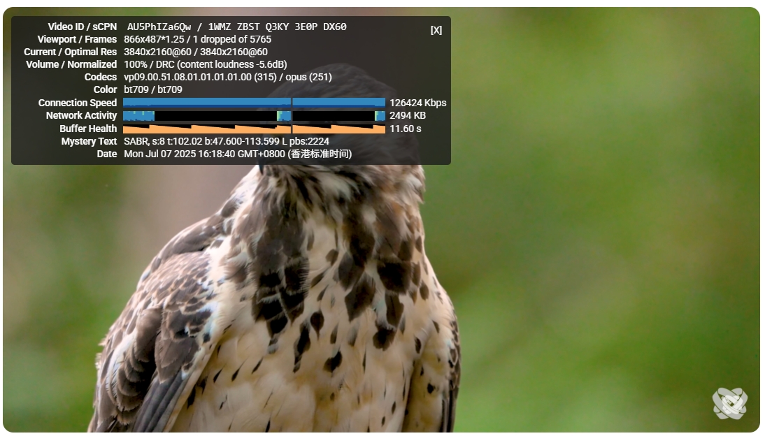 YouTube 4K 播放能力实测