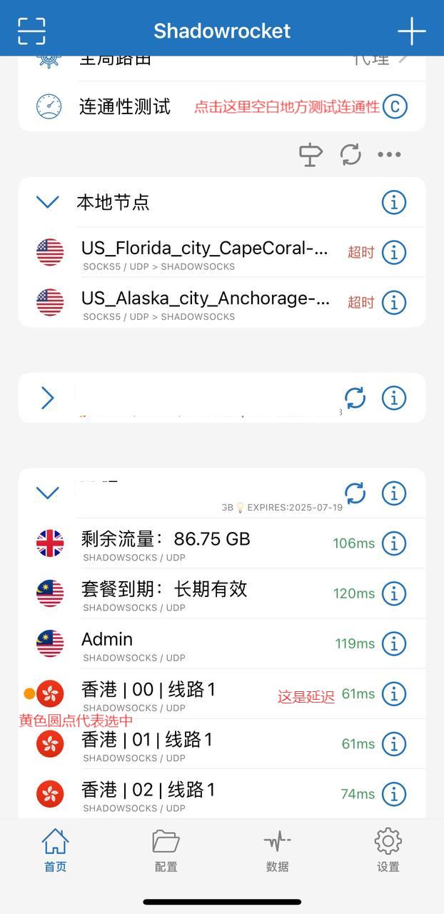 图片描述：Shadowrocket连通性测试